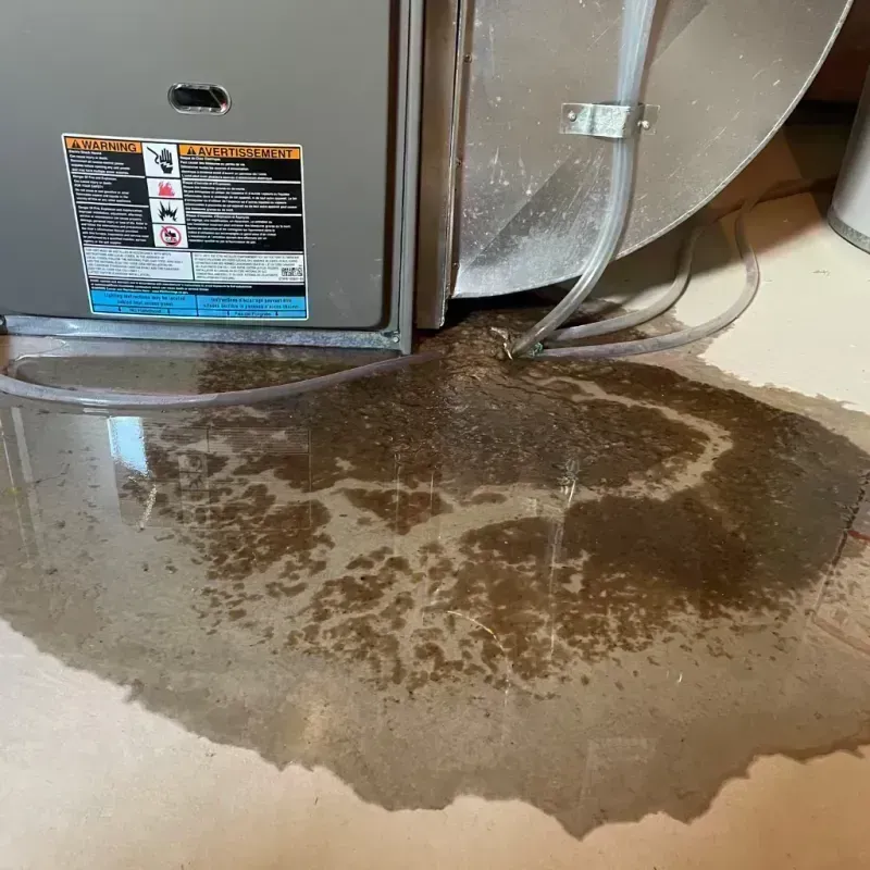 Appliance Leak Cleanup in Baden, MD